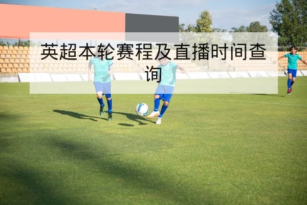 温布尔登选手伤病名单与替补对阵查询